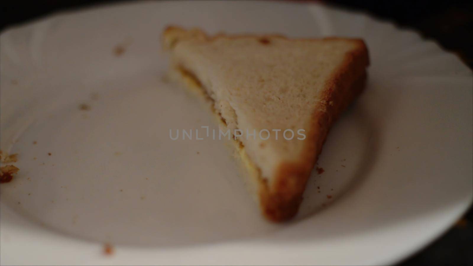 3d illustration - Eating A Tasty And Delicious Sandwich. Close Up Of Food.