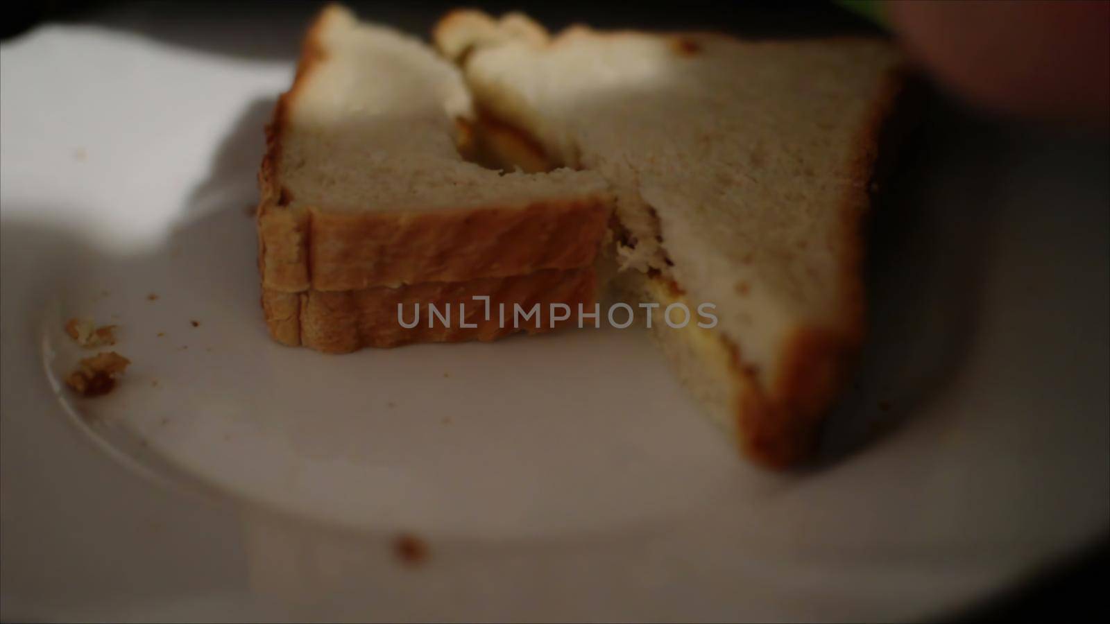 3d illustration - Eating A Tasty And Delicious Sandwich. Close Up Of Food. by vitanovski