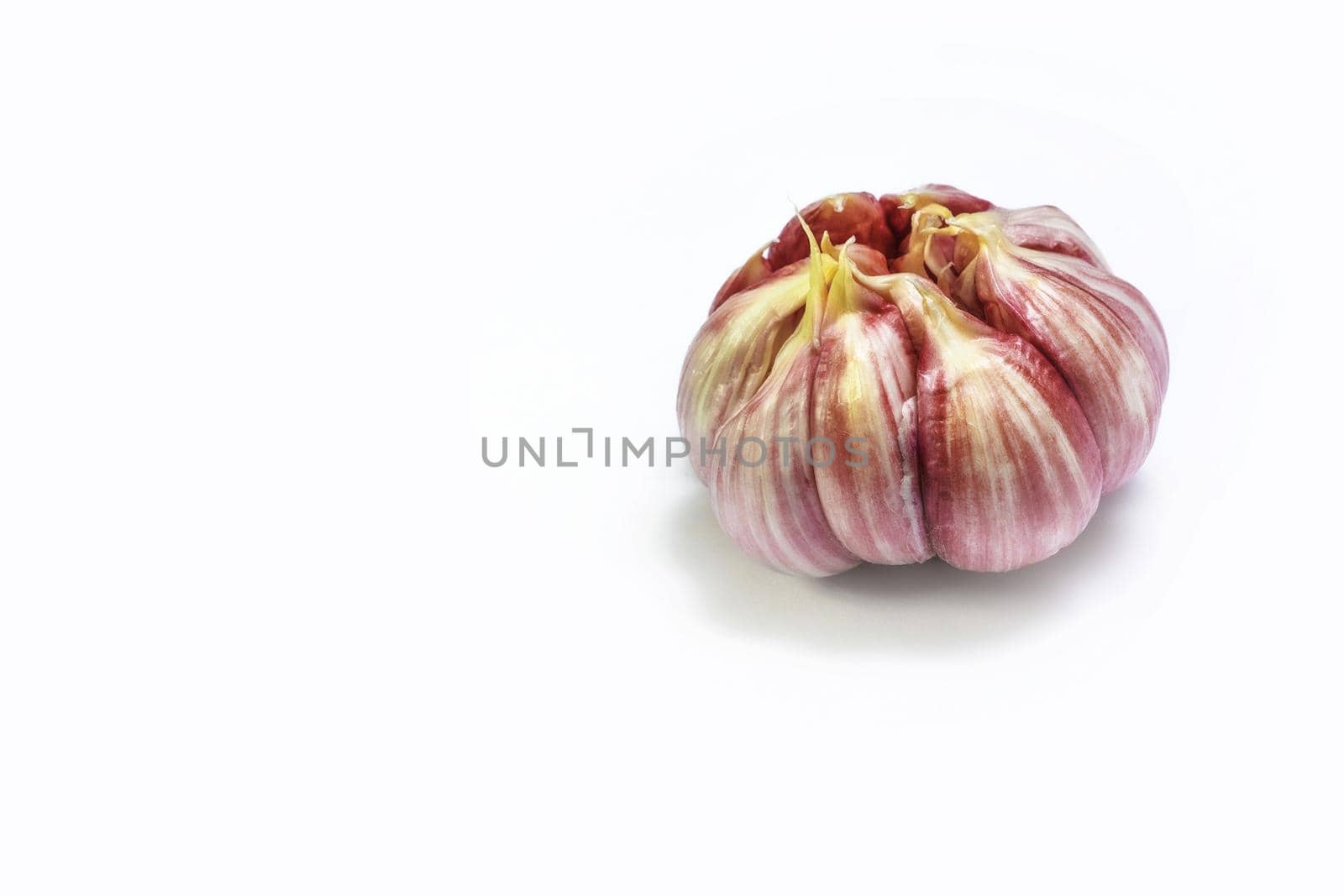 Head of garlic on white background spins. isolate by Essffes