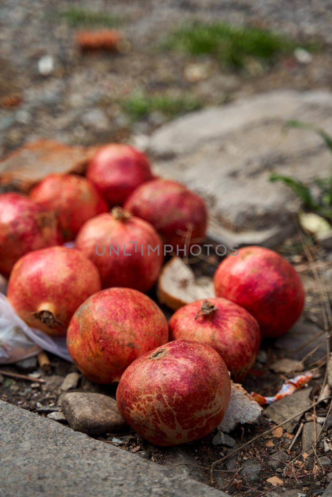 Ripe pomegranate fruits lie near the trash can. Help the homeless.