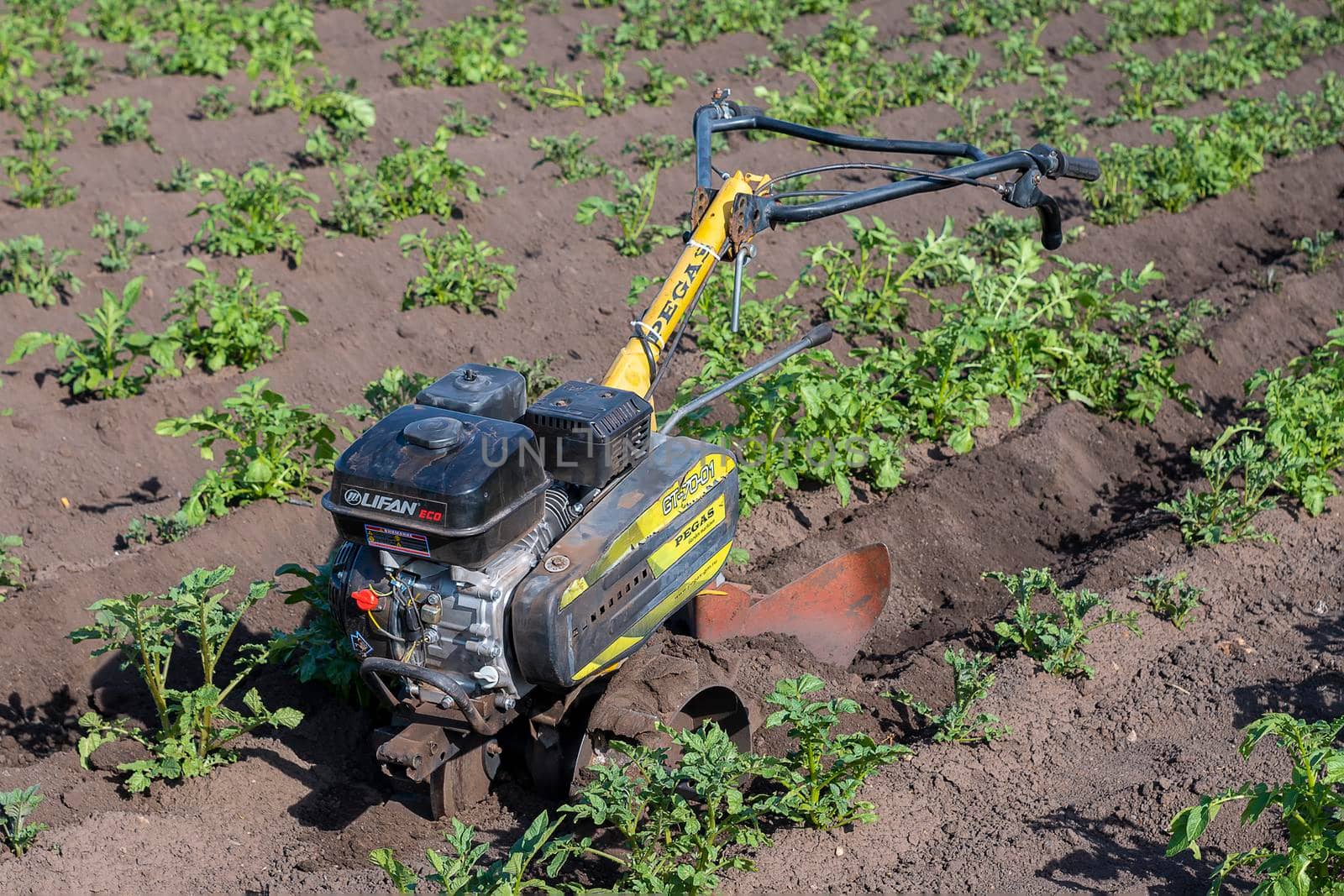 Agromashine motorcultivator. Bashkortostan, Russia - 12 June, 2021. by Essffes