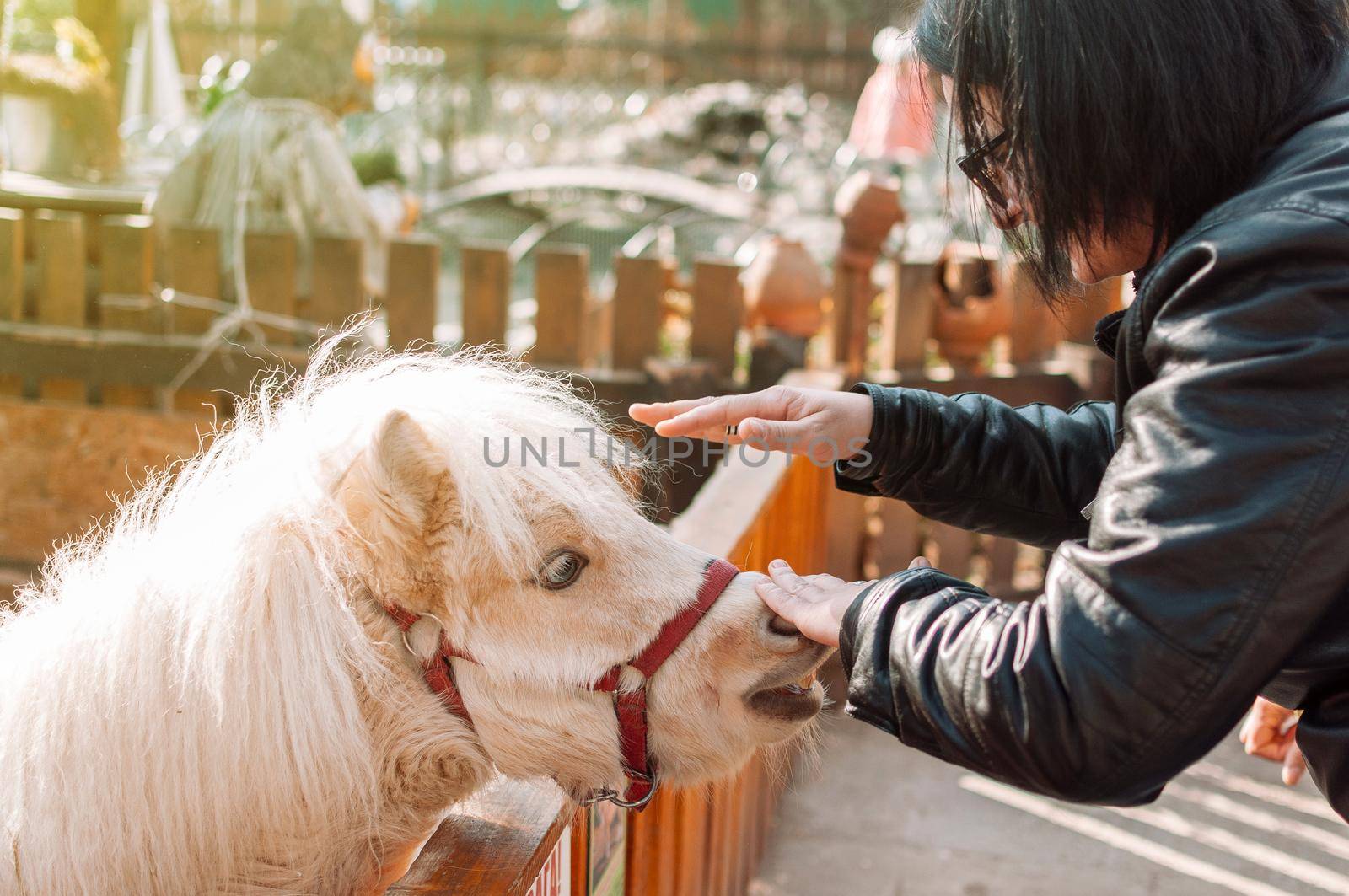 A young girl strokes a pony at the zoo through a wooden fence. The mammal is on the family farm.