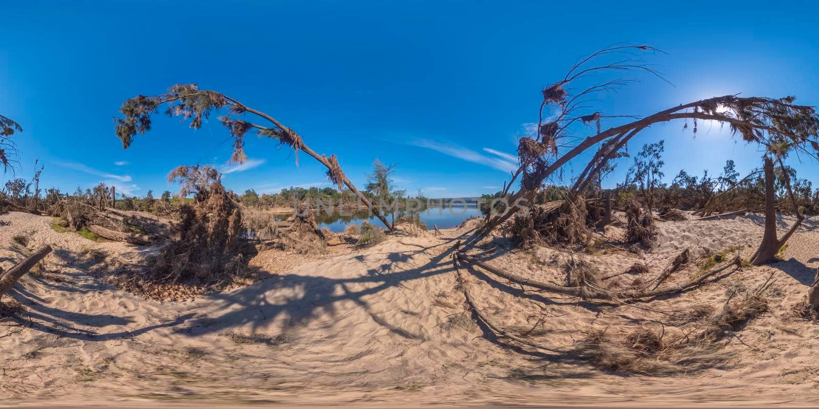 Spherical panoramic photograph of fallen trees after severe flooding in Yarramundi Reserve in the Hawkesbury region of New South Wales in Australia
