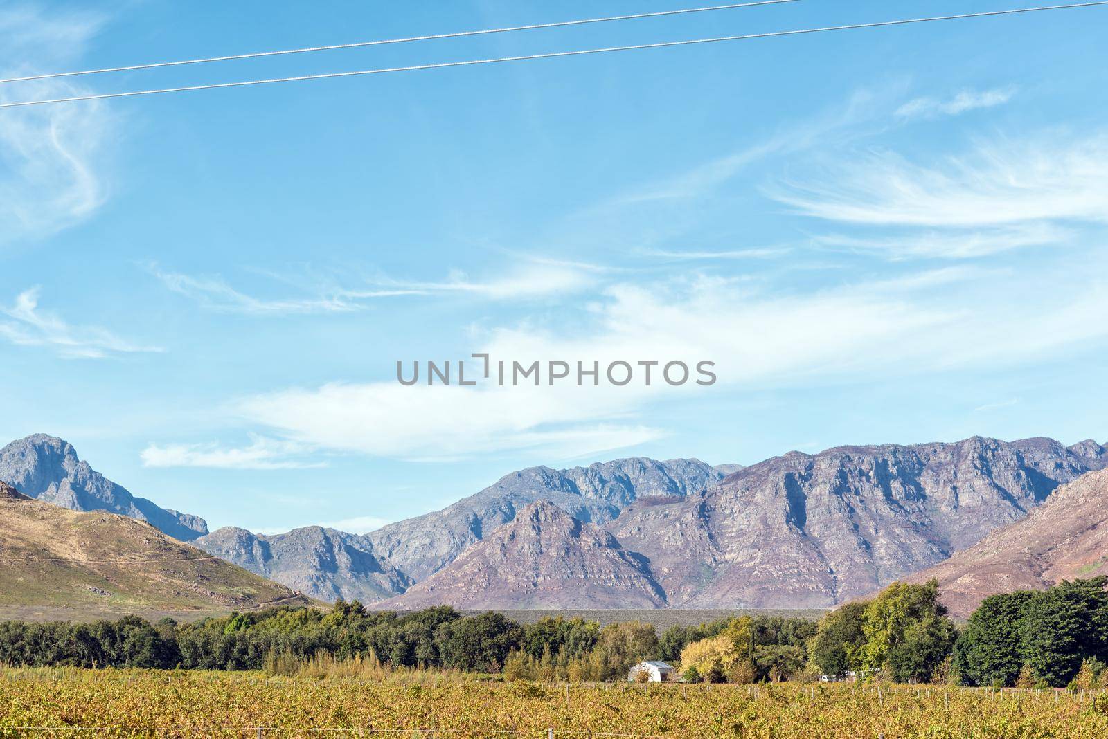 Berg River Dam wall visible above the trees near Franschhoek by dpreezg