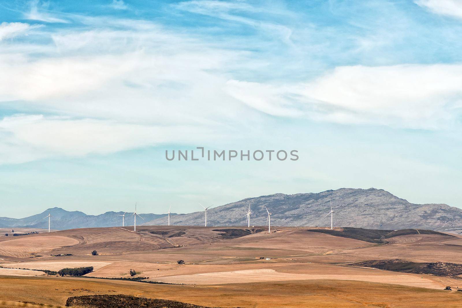 Wind turbines near Caledon seen from road N2