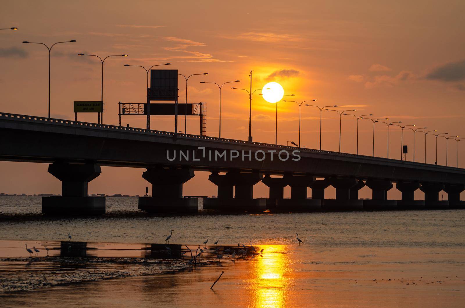 Penang Bridge during sunset hour. Crane birds looking for food at coastal of sea.