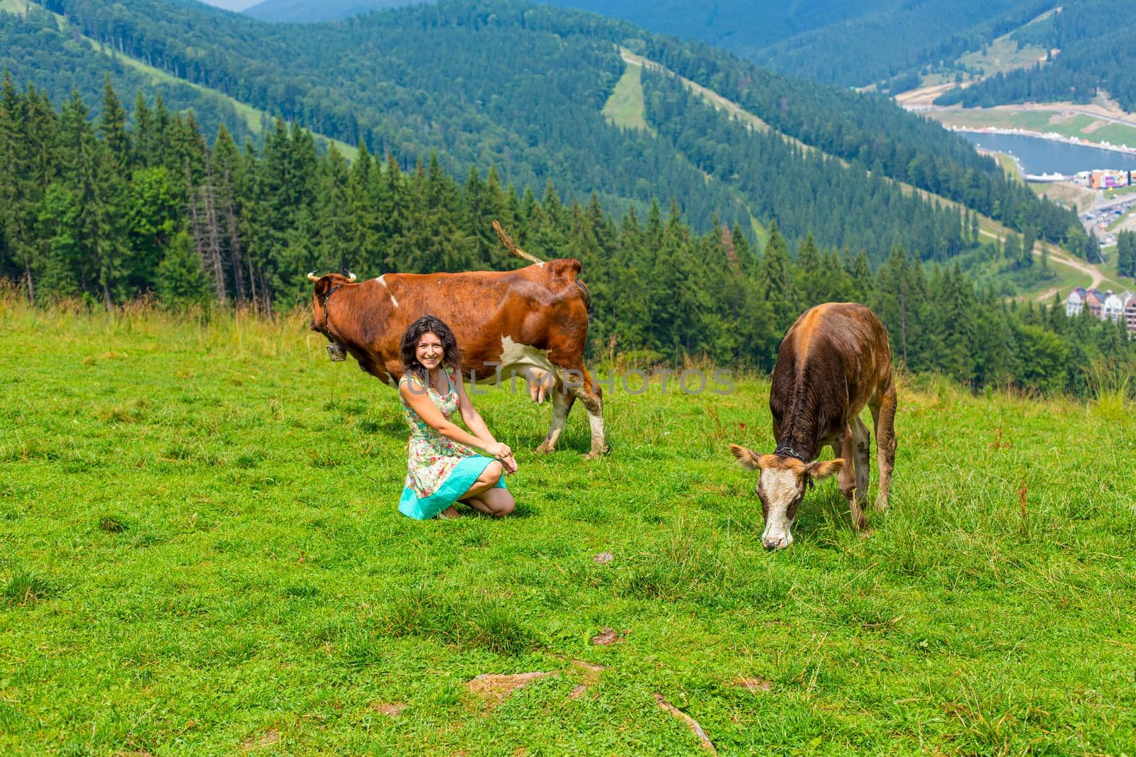 A young gorgeous girl shepherd grazing cows in a mountain meadow with amazing views of the hills.