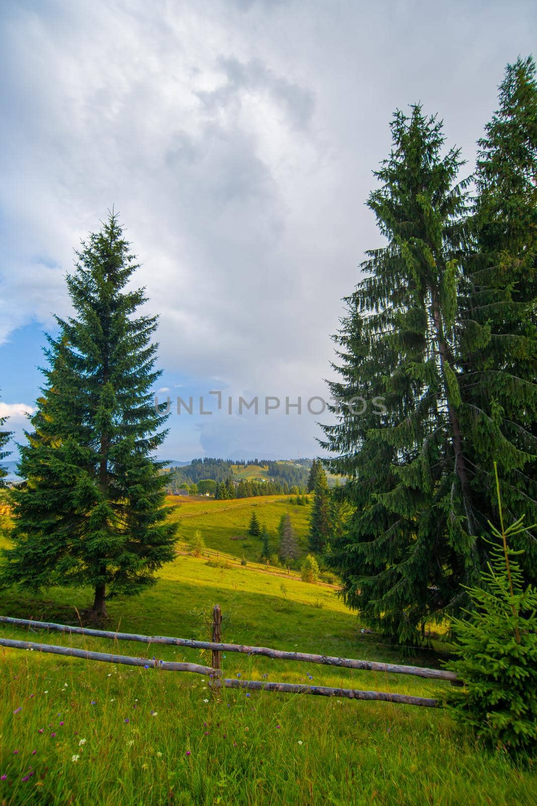 Mountain hills pure nature rural landscape. Fence from wooden logs.