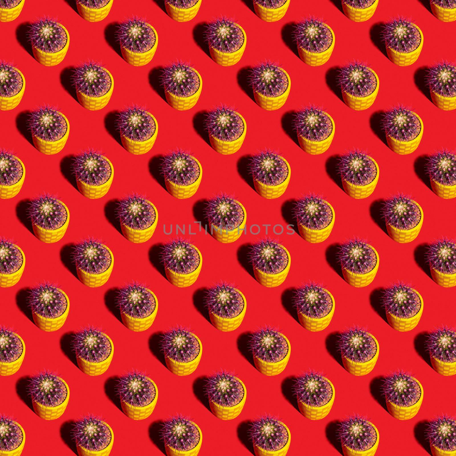 Round cactus seamless pattern in a yellow pot on a red background. For printing posters on fabric.