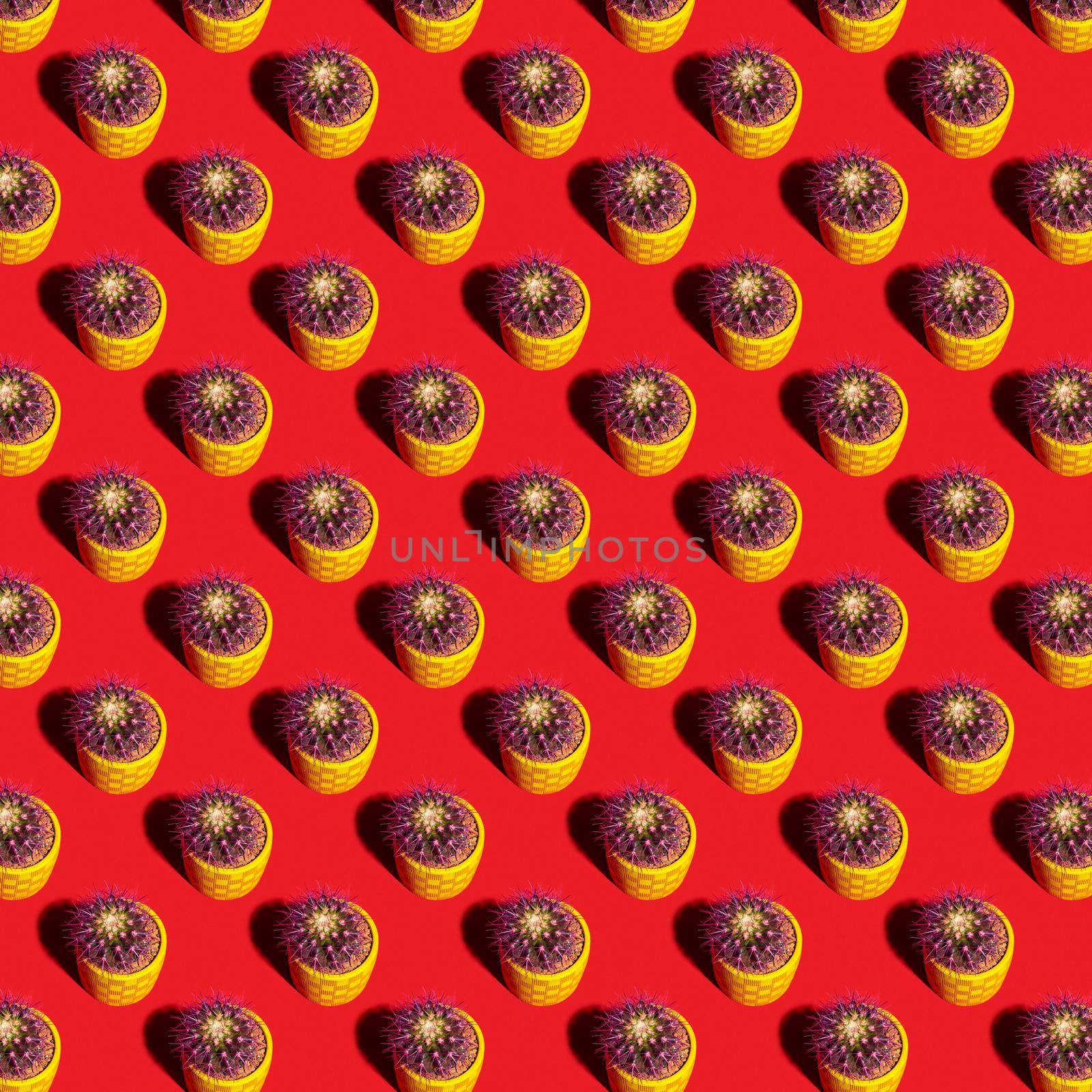 Round cactus seamless pattern in a yellow pot on a red background. For printing posters on fabric.