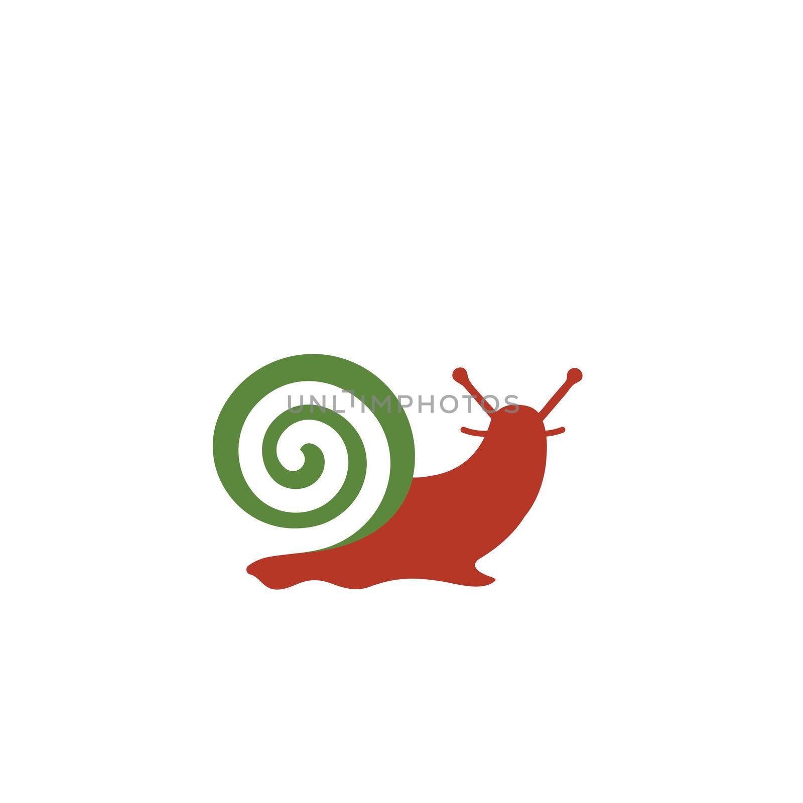 snail vector illustration design template