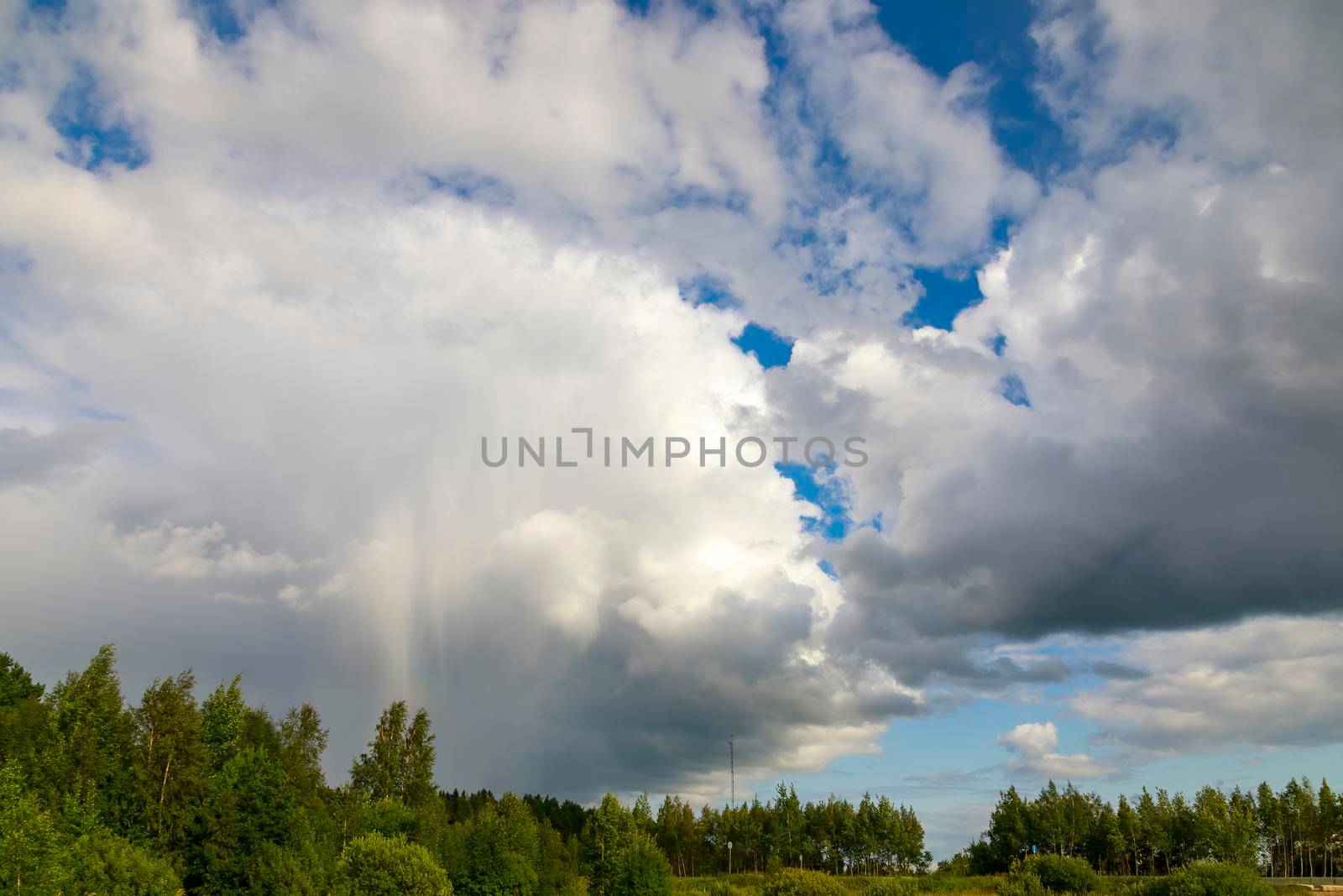 Huge white clouds over the forest with approaching rain.