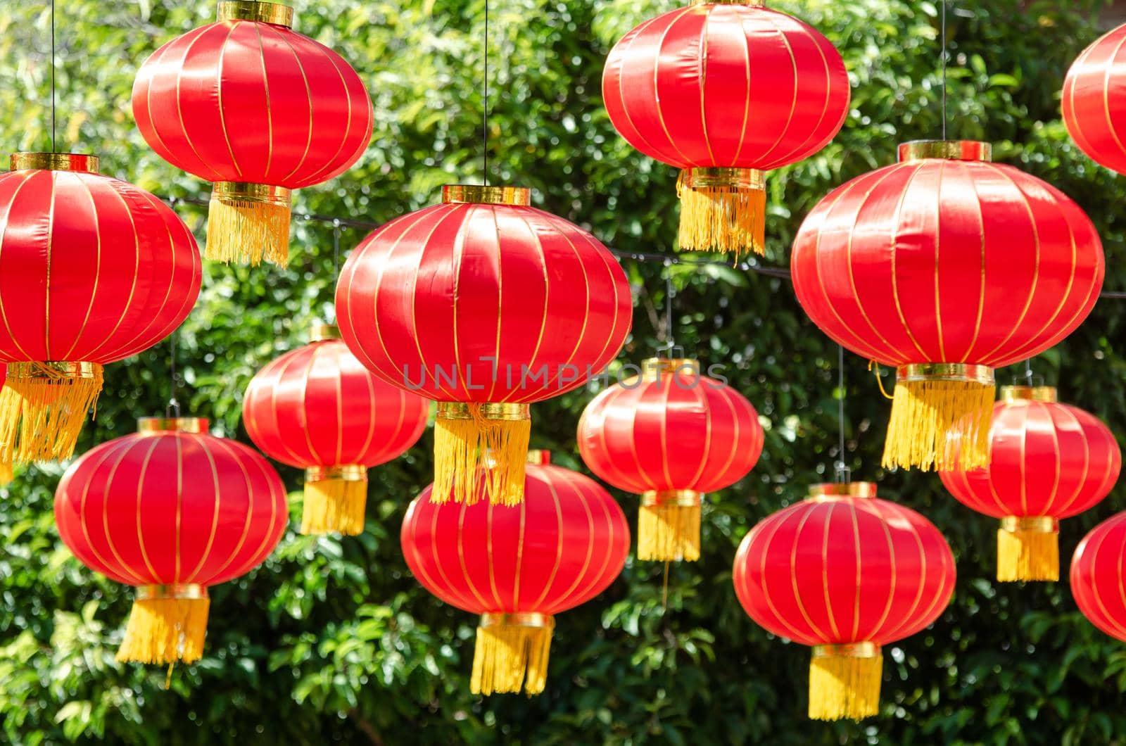 Lantern decorated chinese new year at Georgetown, Penang.