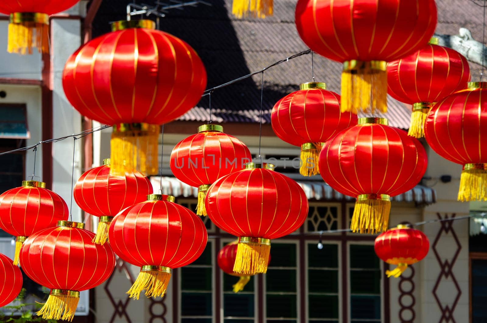 Chinese new year red lantern in morning.