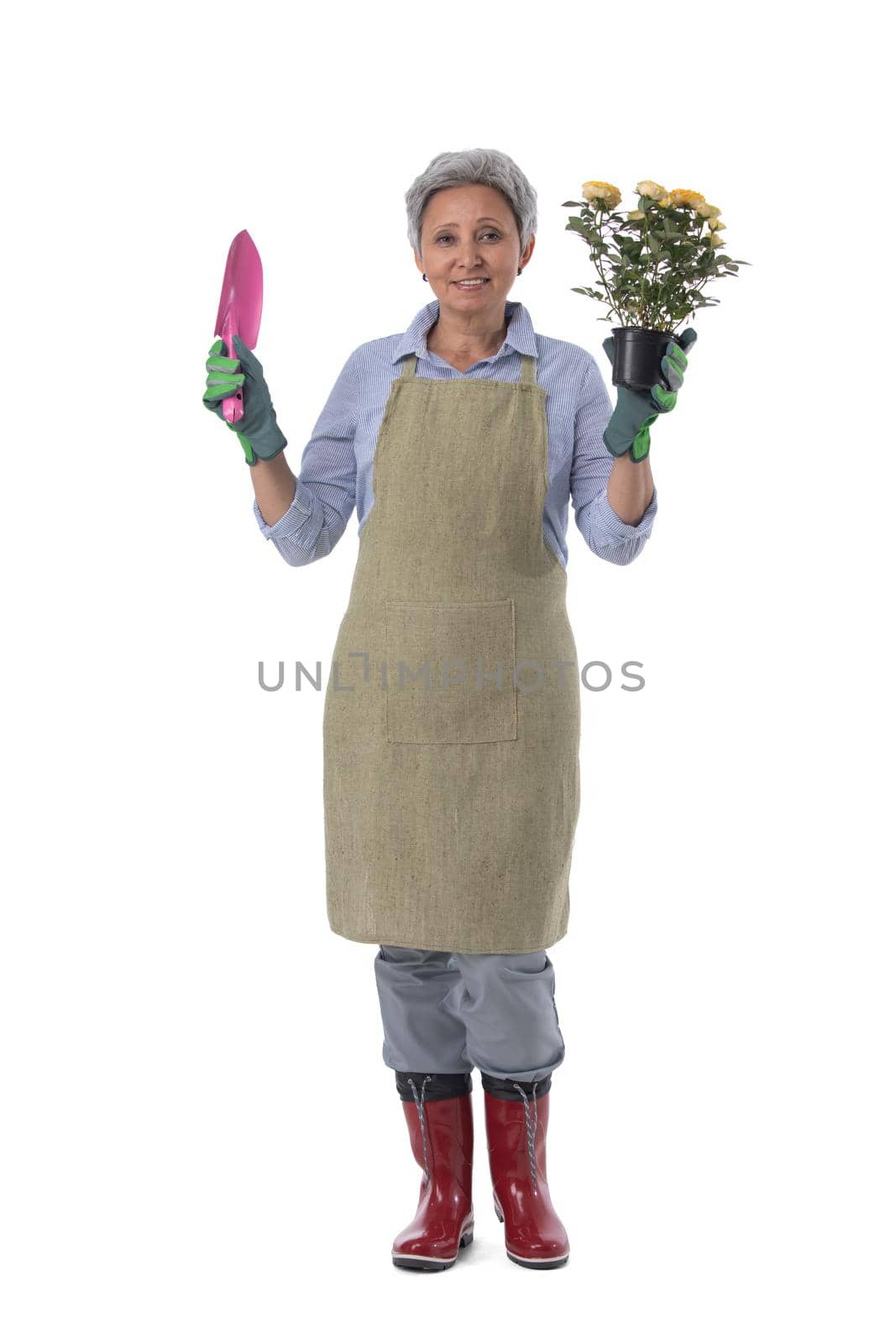Mature woman gardener worker with flowers in pot and scoop isolated on white background, full length portrait