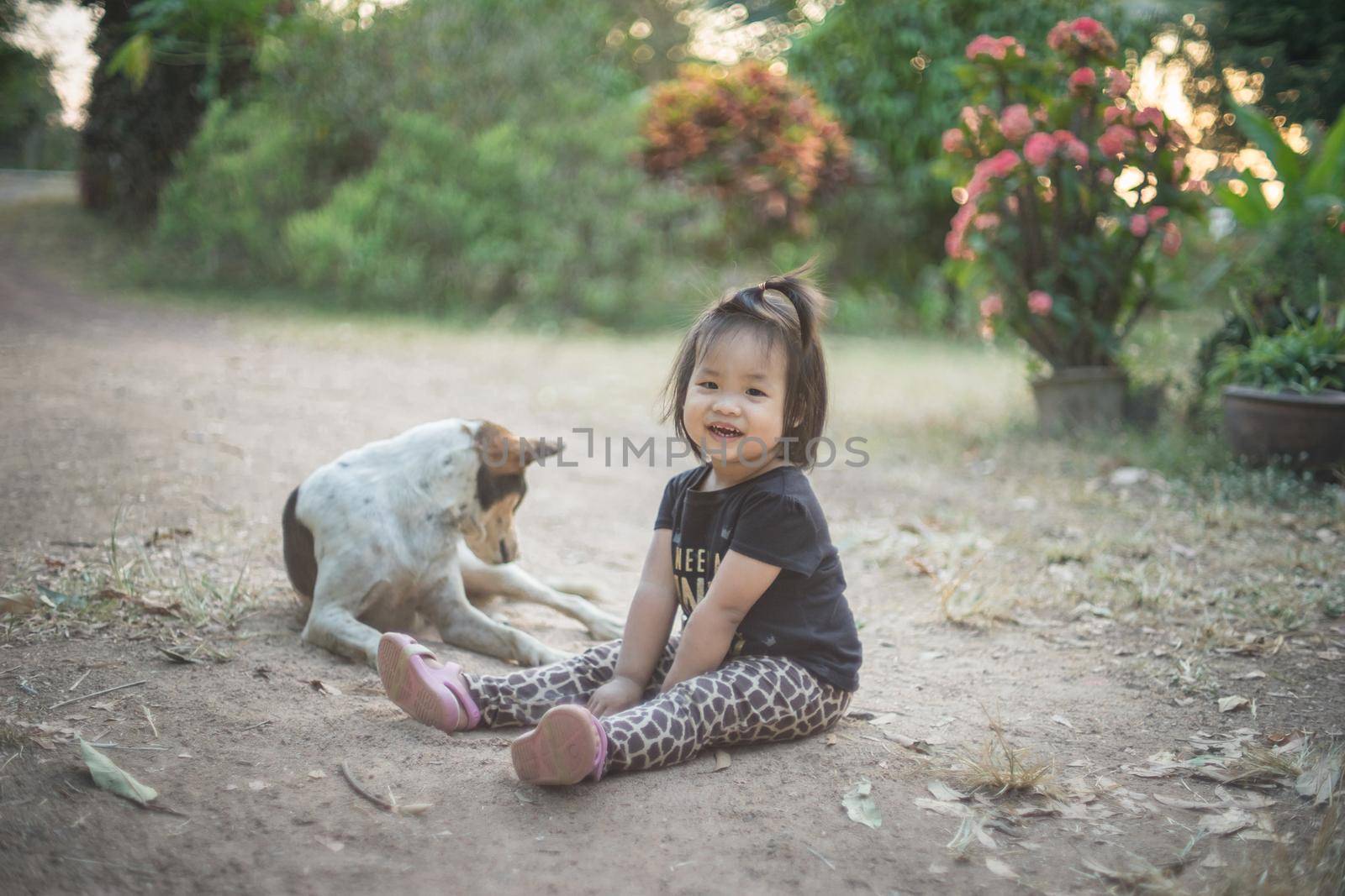 girl and dog on the ground in the evening