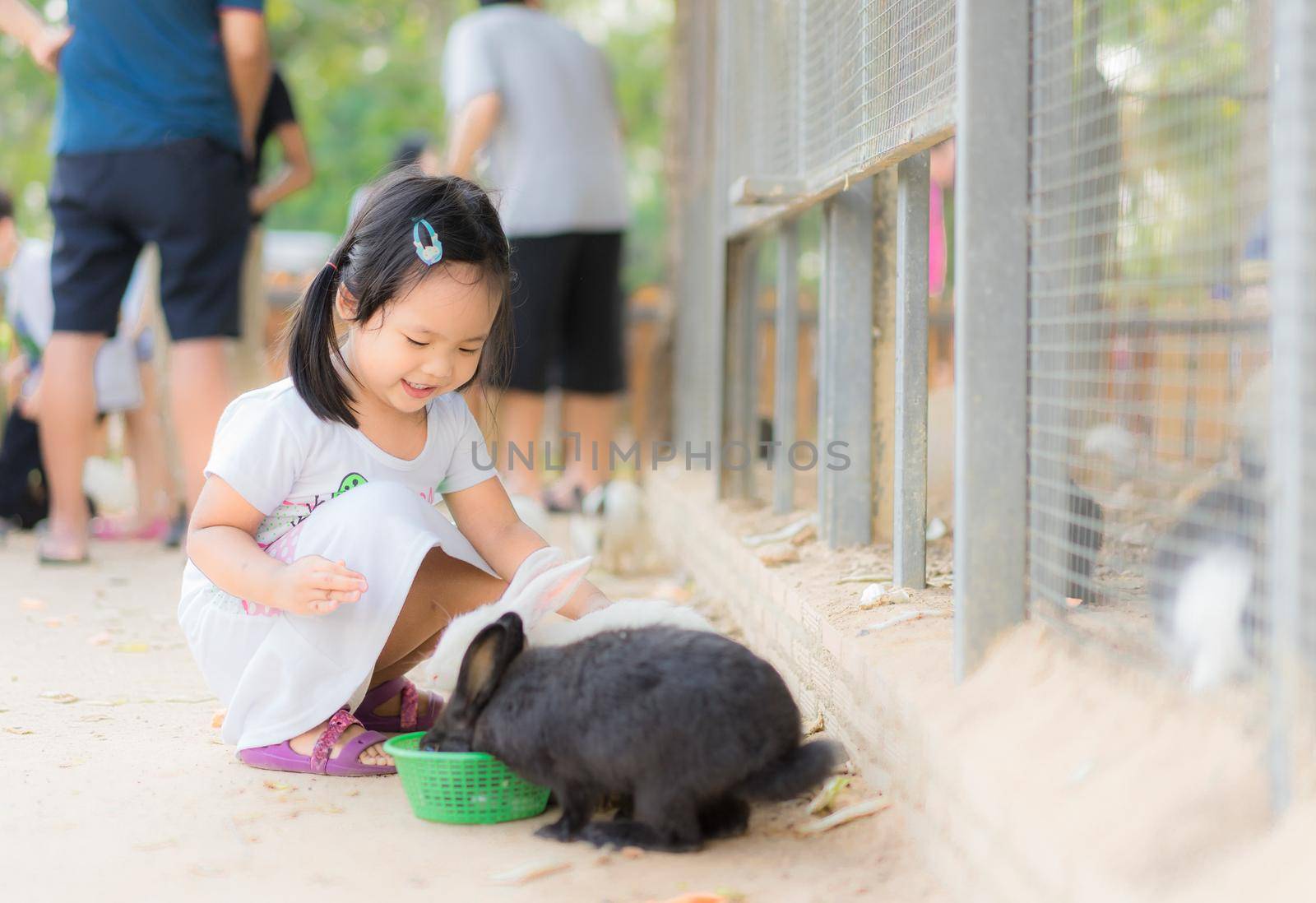 Cute little girl feeding rabbit on the farm by domonite