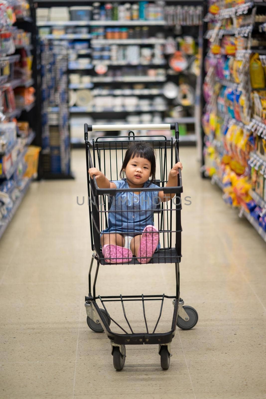 little girl sitting in the cart between shopping by domonite