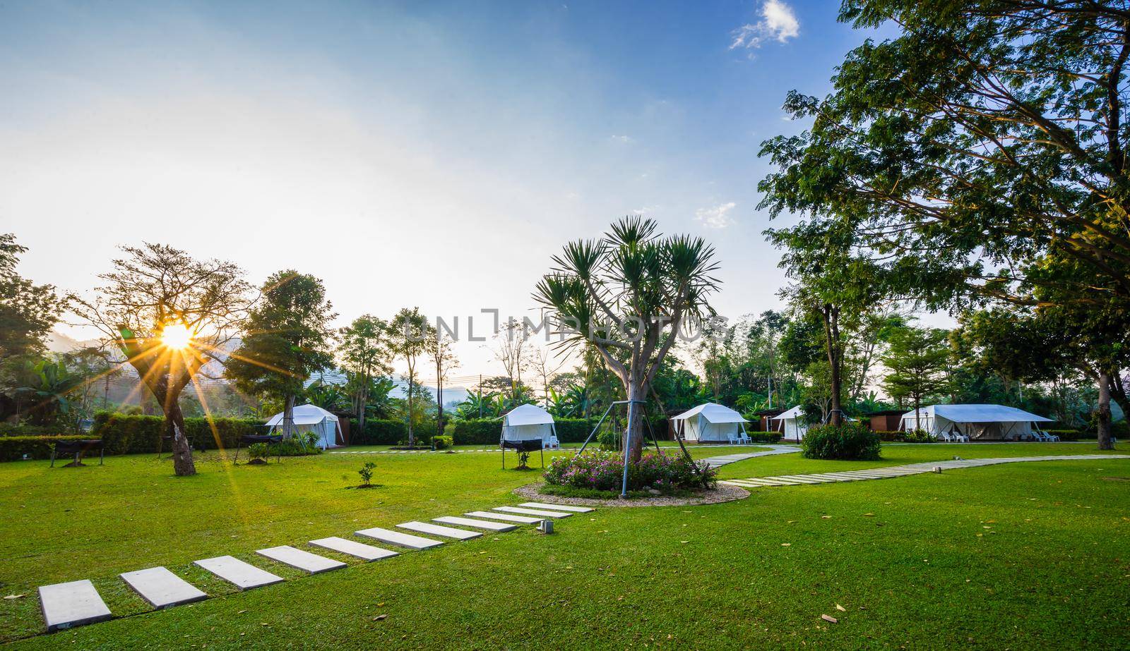 the footpath on green lawns and tent in the garden