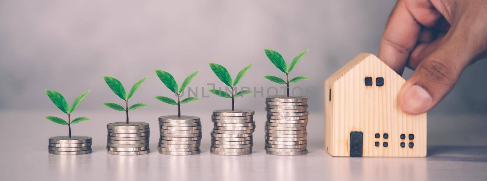 Stack of coin and tree with saving money for real estate and success, finance and investment with leaf, insurance home, deposit and property, residential and financial, business concept.