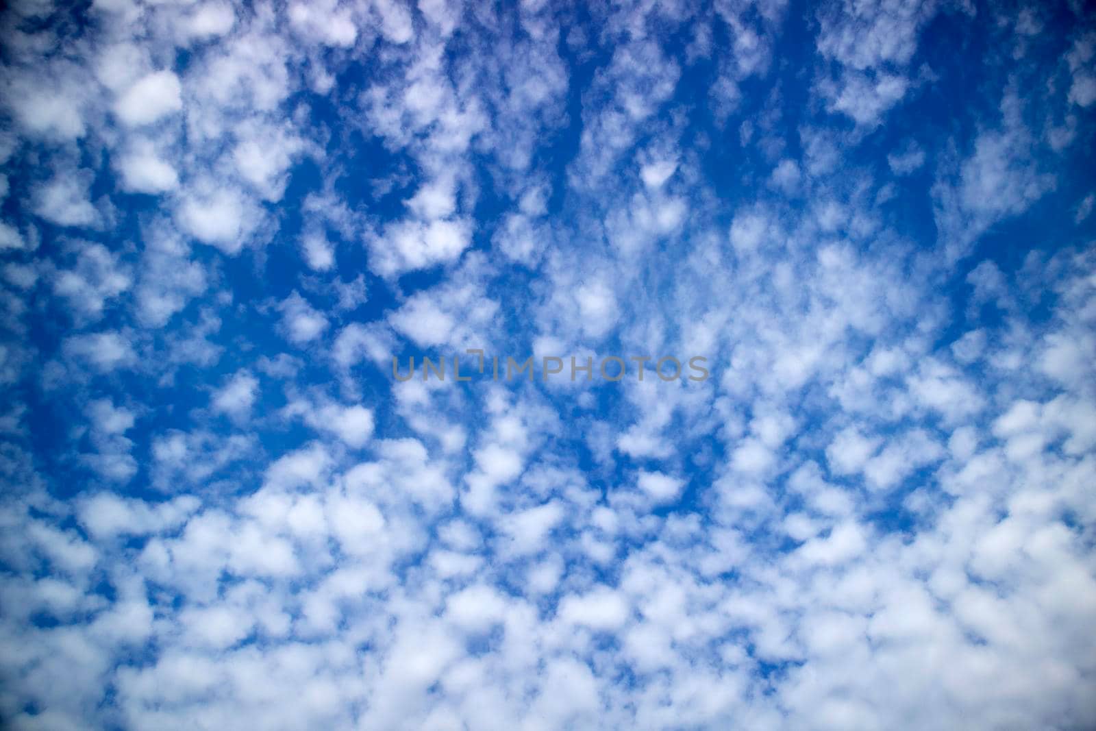 Photo shoot of the composition of the clouds in a blue sky 