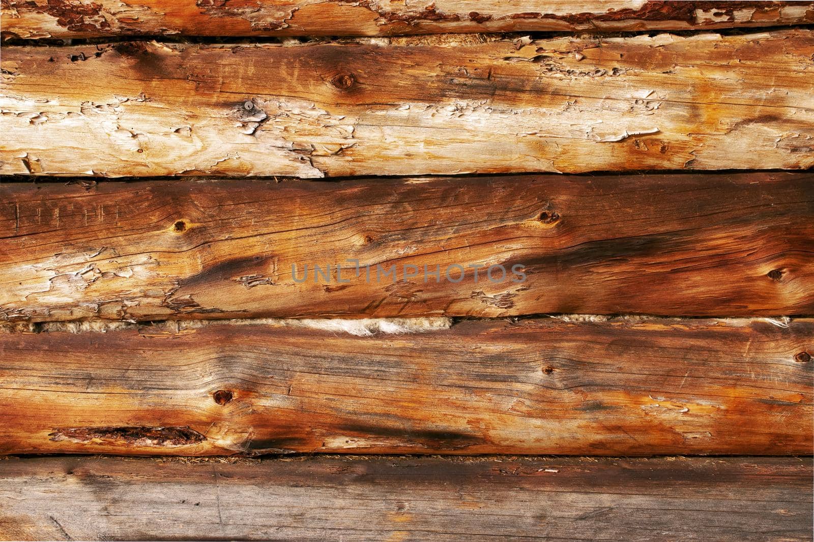 Old textures wooden peeled board with rusty nails