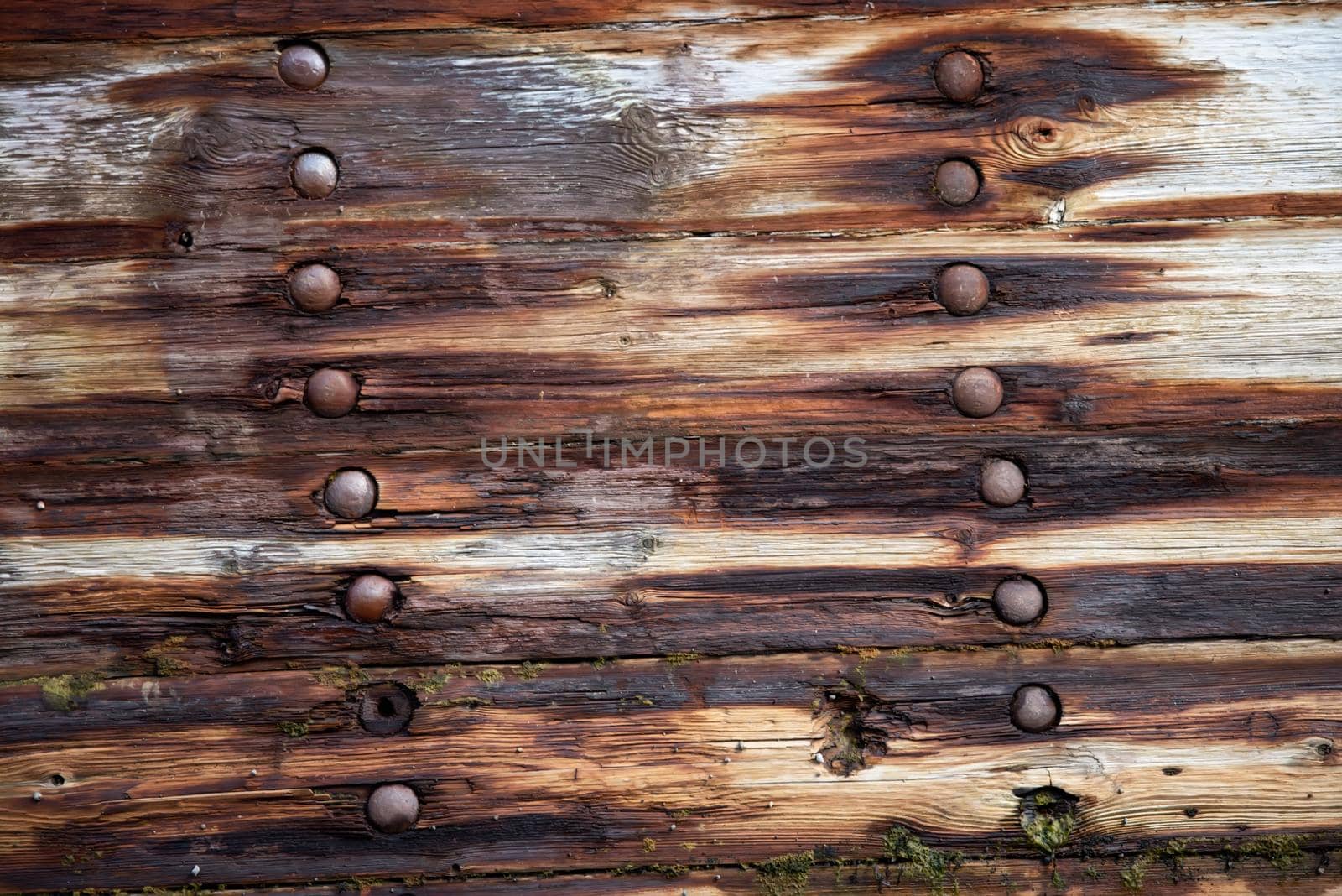 Old textures wooden peeled board with rusty nails