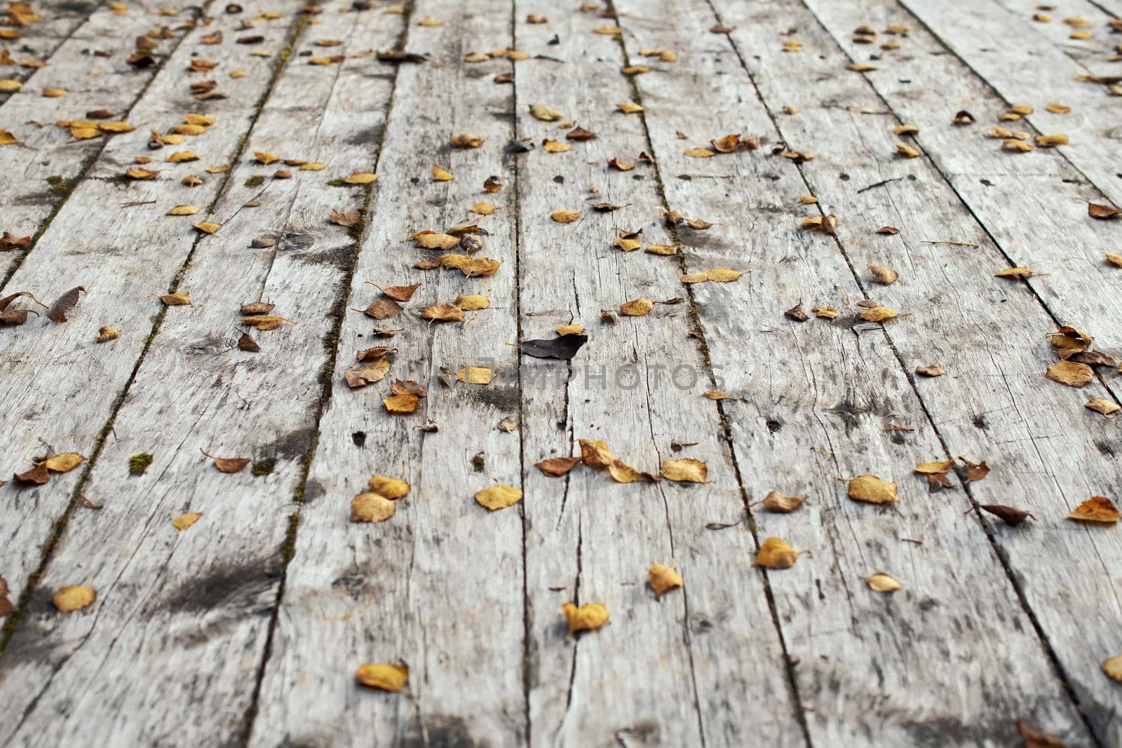 Old textures wooden peeled board with nails by Estival