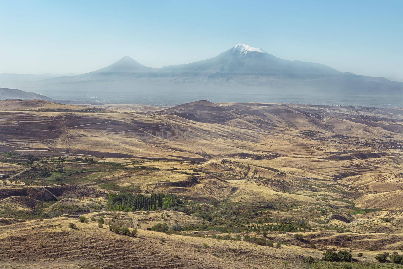 Peaks of mountain Ararat in background on yellow pale space of field