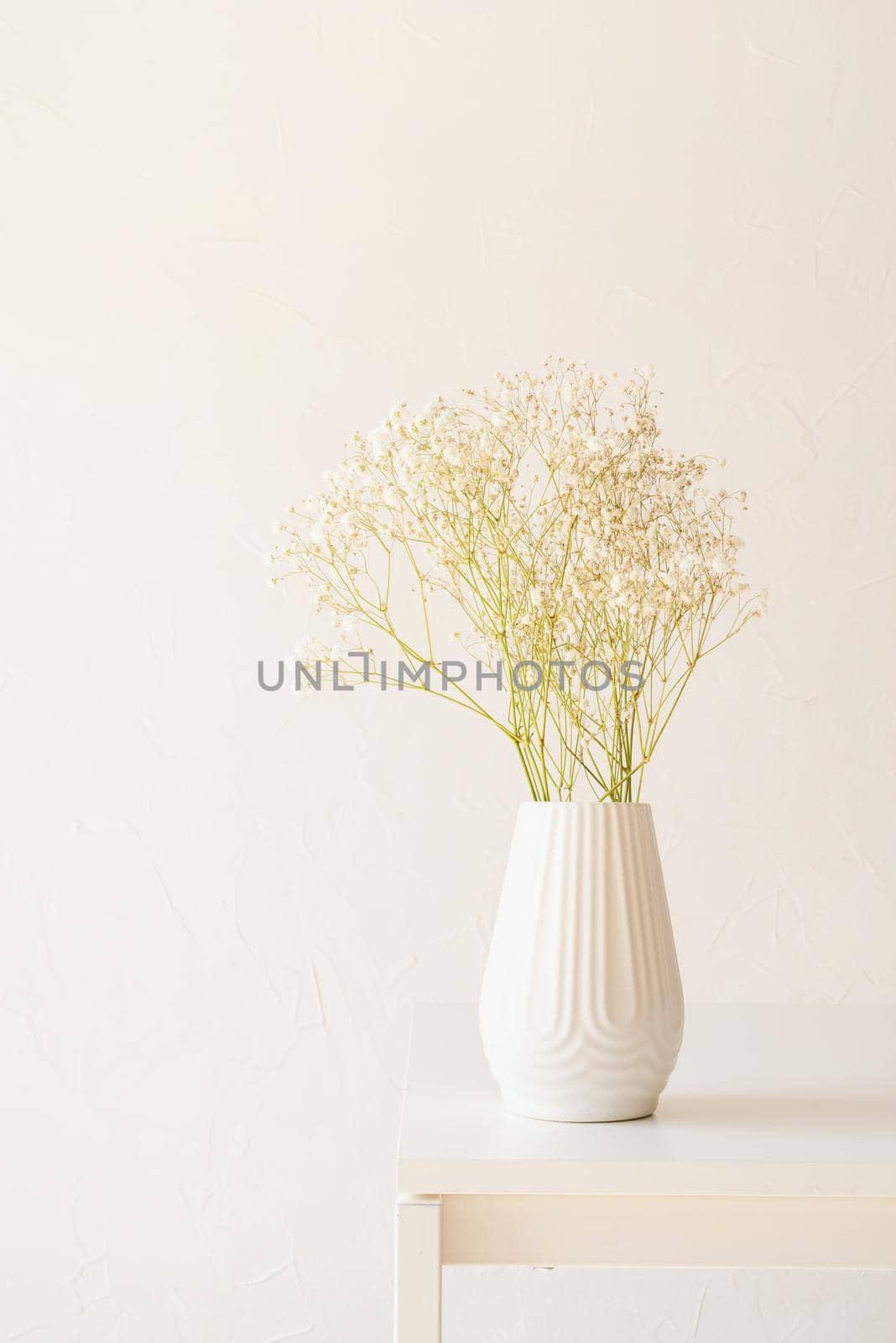 White gypsophila flowers in white vase on the table, minimal style, copy space