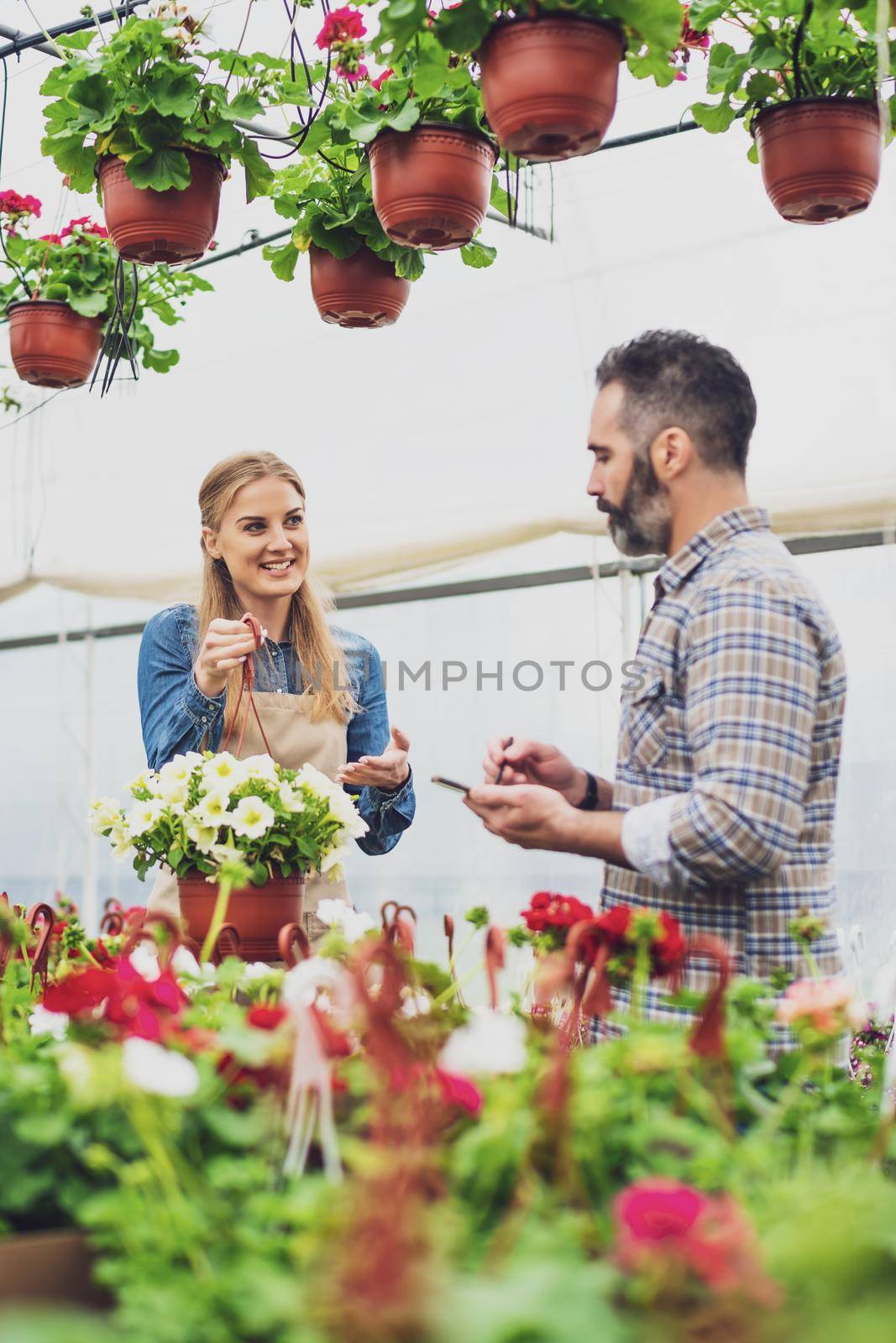 Couple is owning small business greenhouse store. They are examining plants.