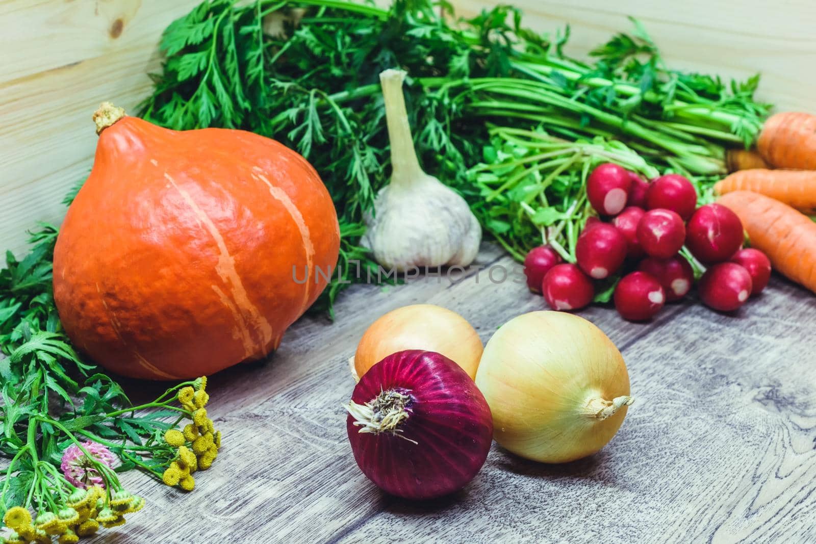 Different multi-colored seasonal vegetables and greens lying on a table by Estival