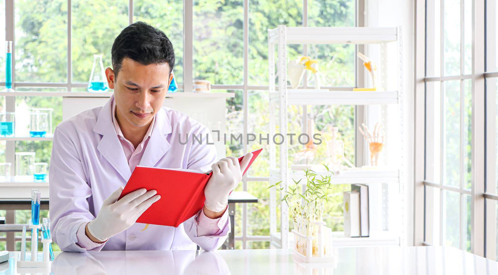 A scientist or researcher in an Asian male wearing a white coat is working and reading a book to find information. Being in a scientific laboratory With test tube equipment