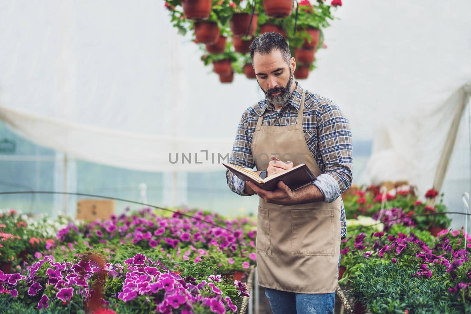 Man is working in small business greenhouse store. He is examining plants.