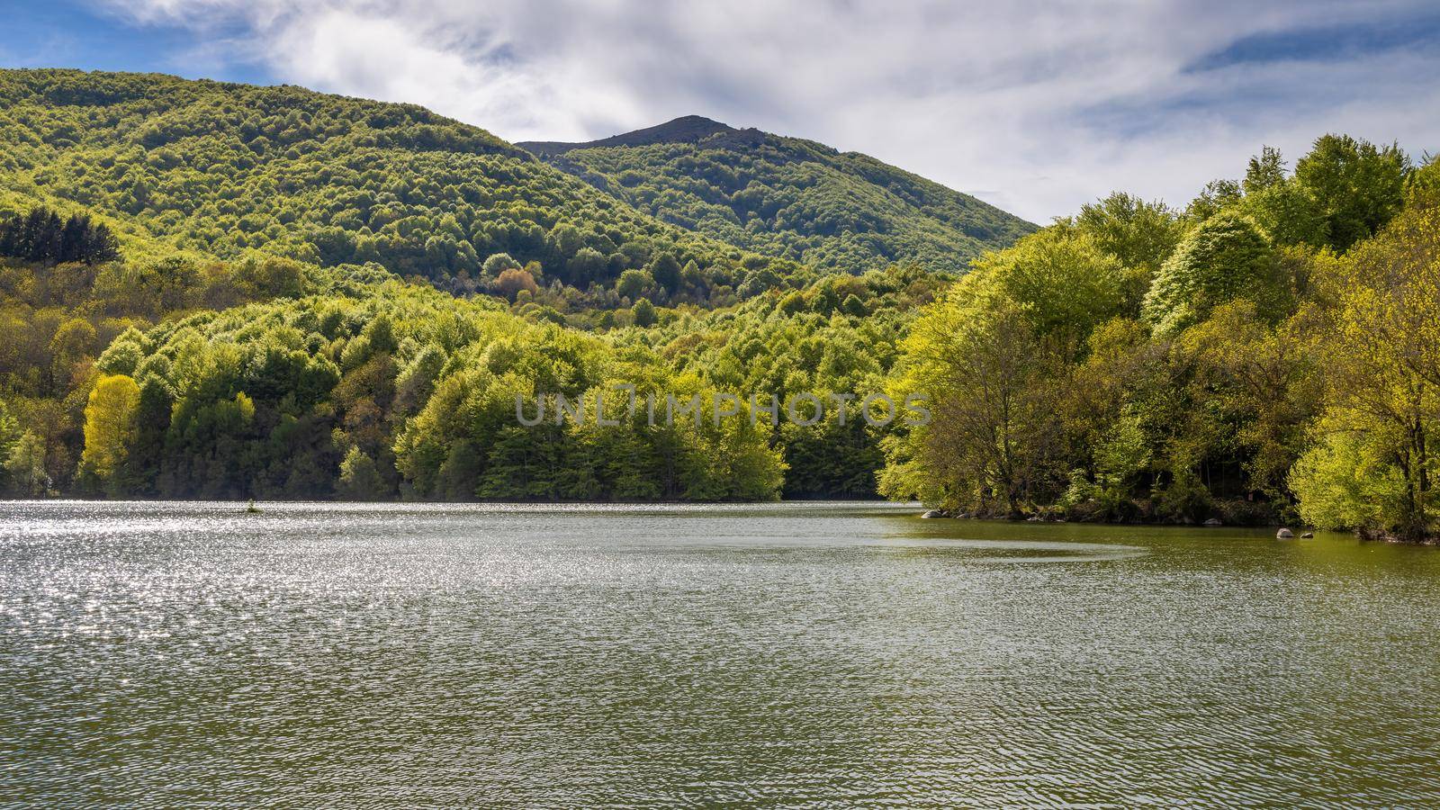 Summer landscape with forest lake on the Spanish Montseny mountain by Digoarpi