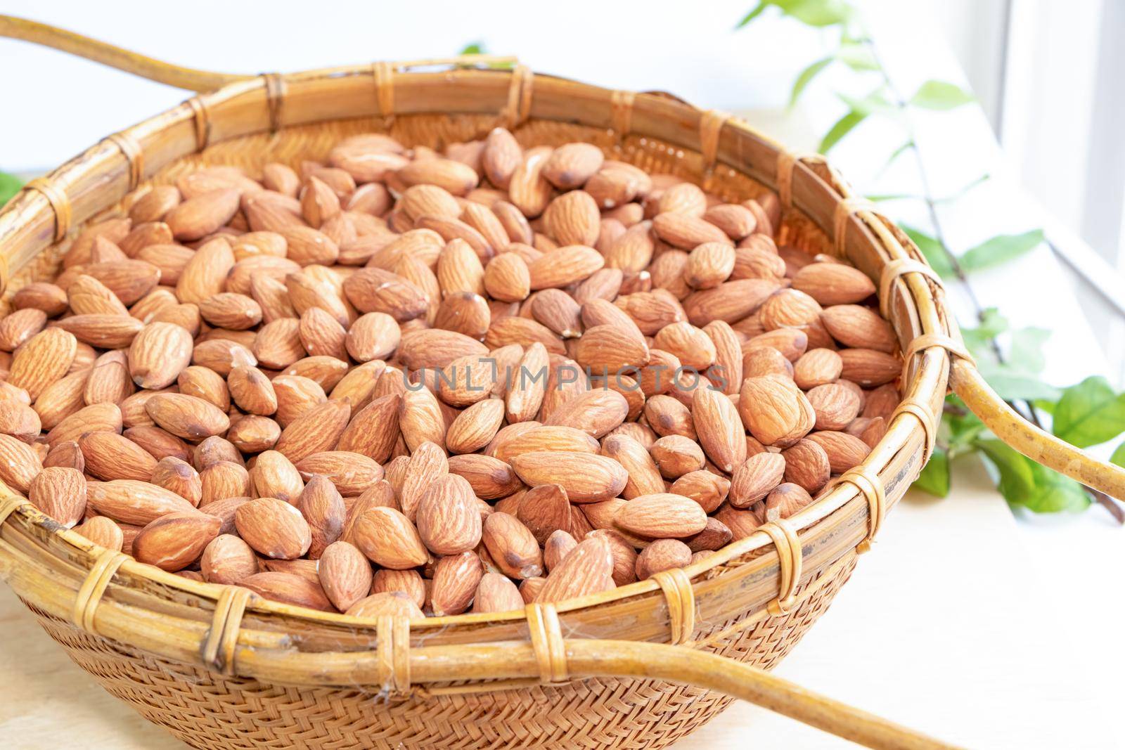 Almonds are useful to help fight free radicals. Strengthens the immune system in the body
Helps to slow down aging and wrinkles of age well