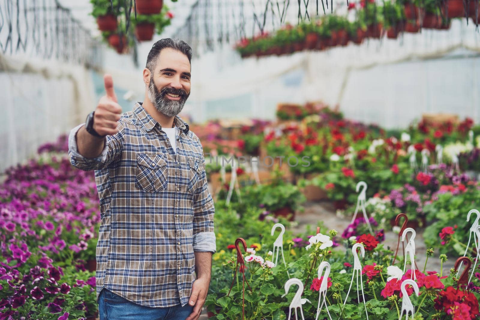 Adult man is owning small business greenhouse store.