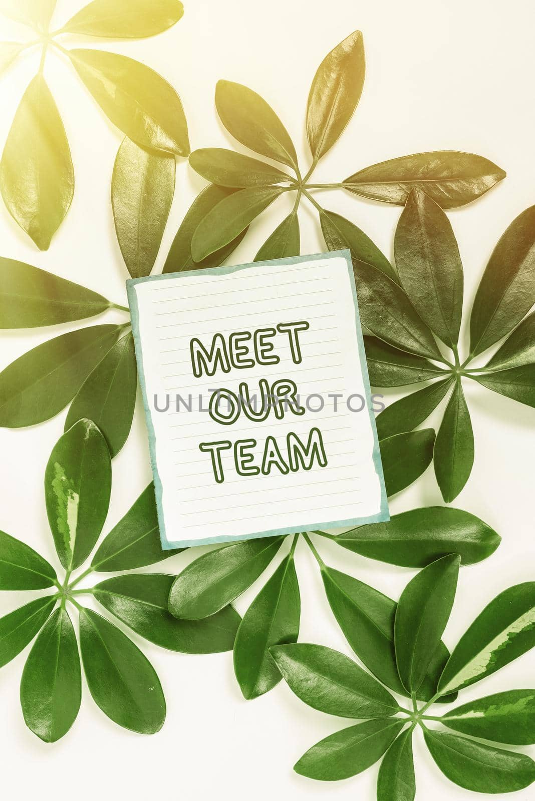 Inspiration showing sign Meet Our Team, Business approach introducing another an individual to your team mates in the company Saving Environment Ideas And Plans, Creating Sustainable Products