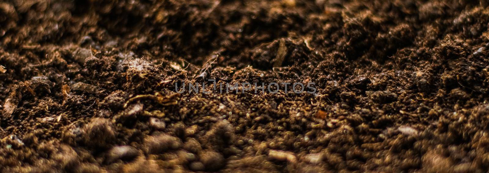 Earth ground texture as background, nature and environmental backdrop