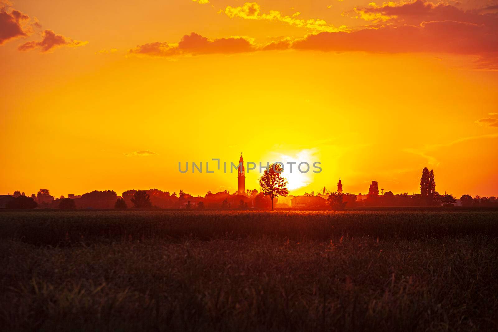 Sunset in a landscape with bell tower, trees and countryside