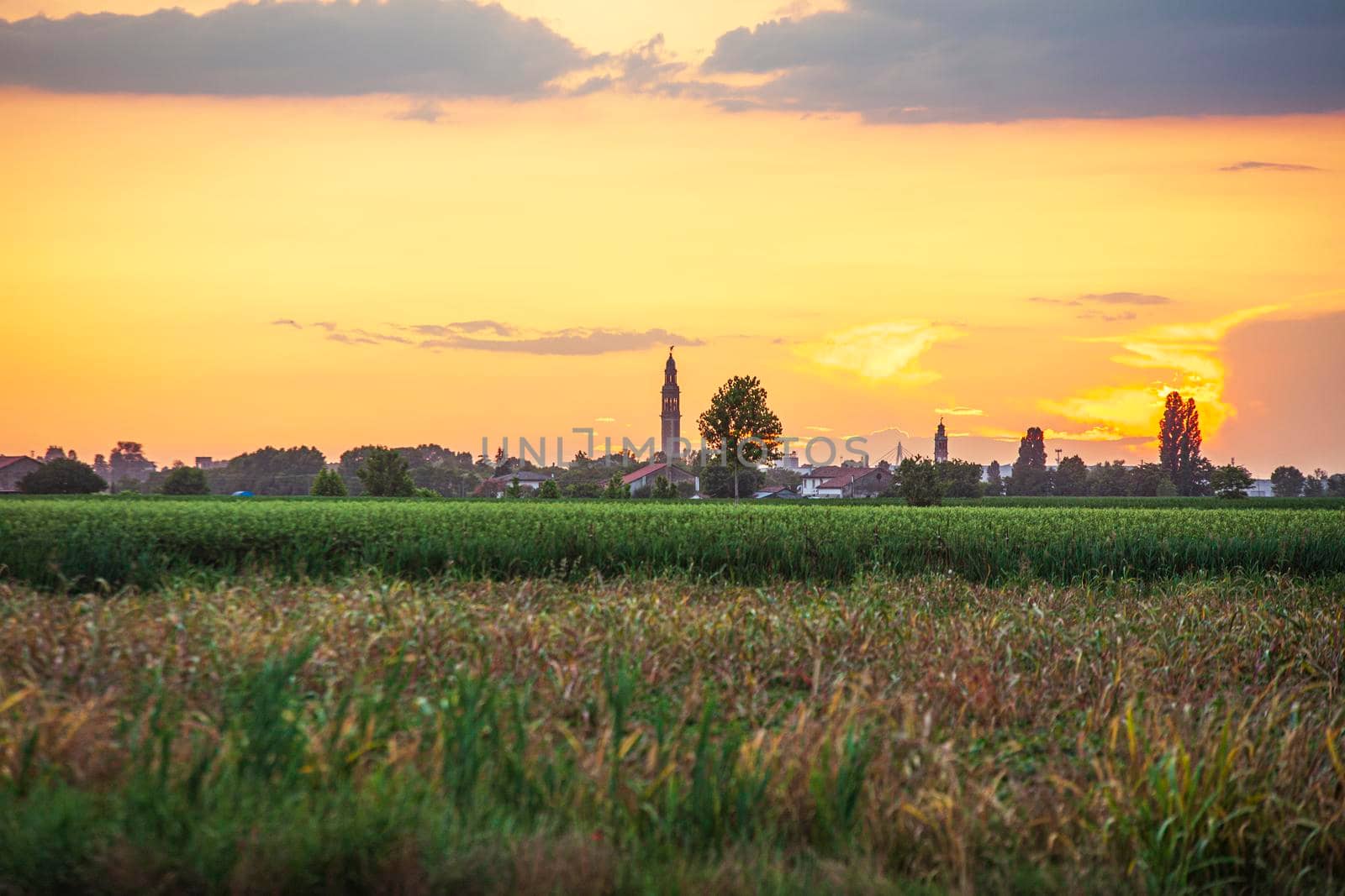 Sunset in a landscape with bell tower, trees and countryside