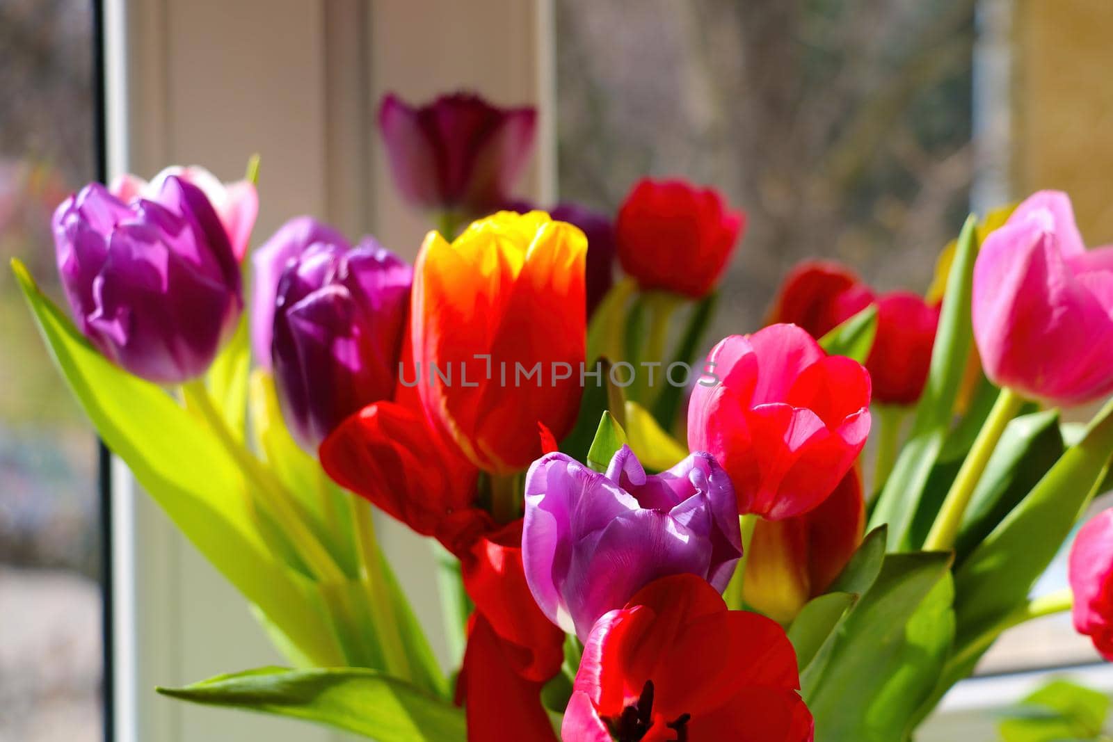 There is a bouquet of fragrant blooming tulips in a vase on the windowsill