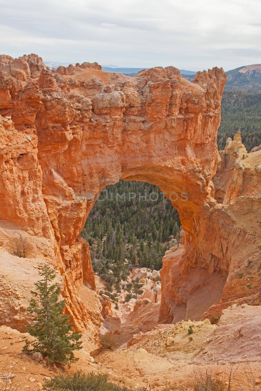 View over Bryce Canyon from The Natural Bridge