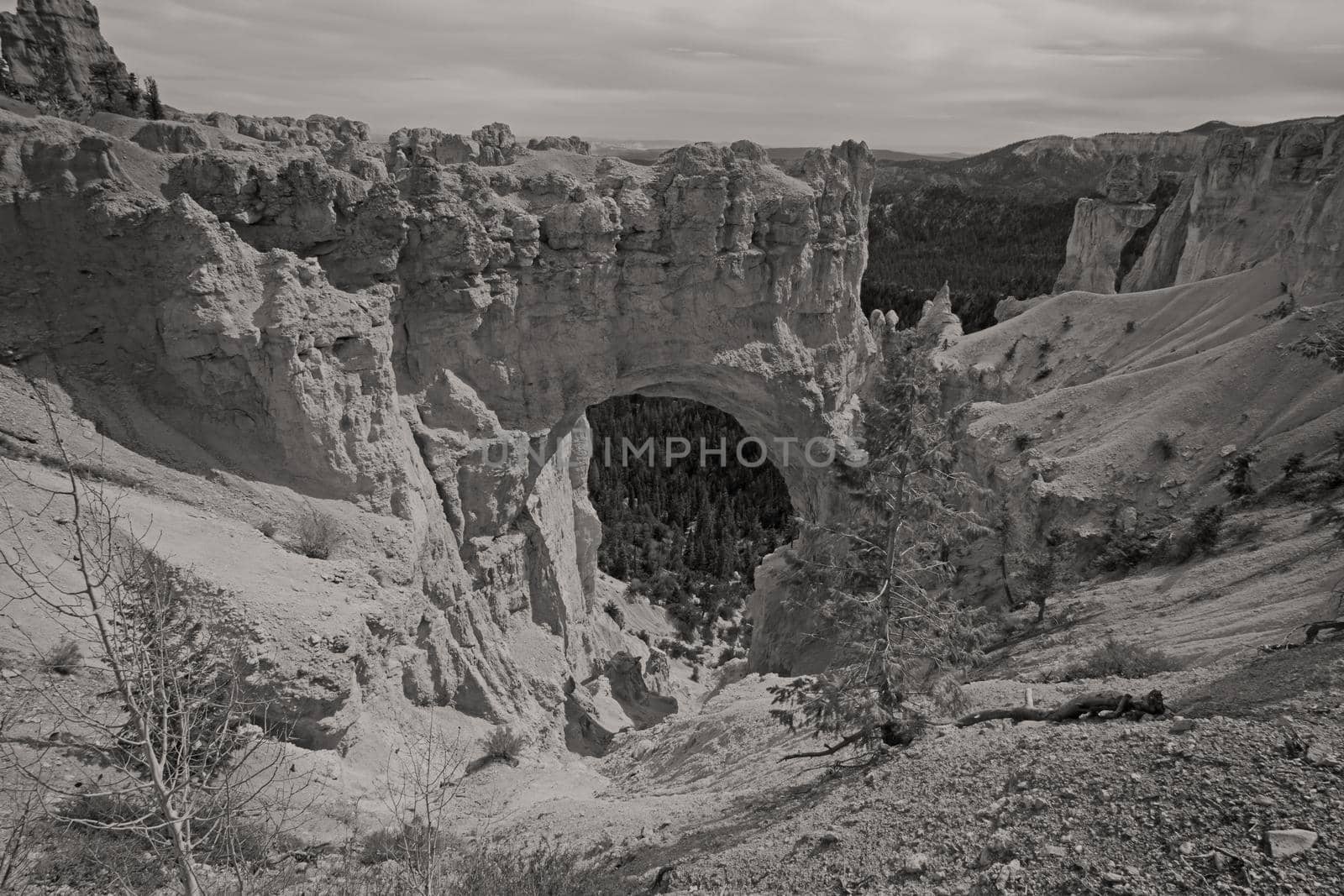 View over Bryce Canyon 2419 BW by kobus_peche