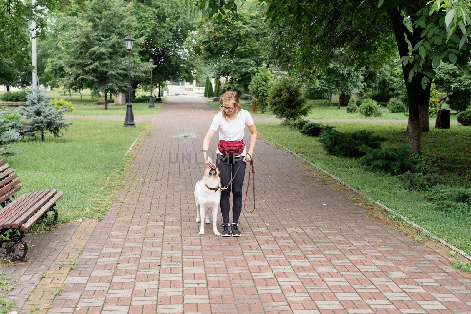 young woman training her dog in a park by Desperada