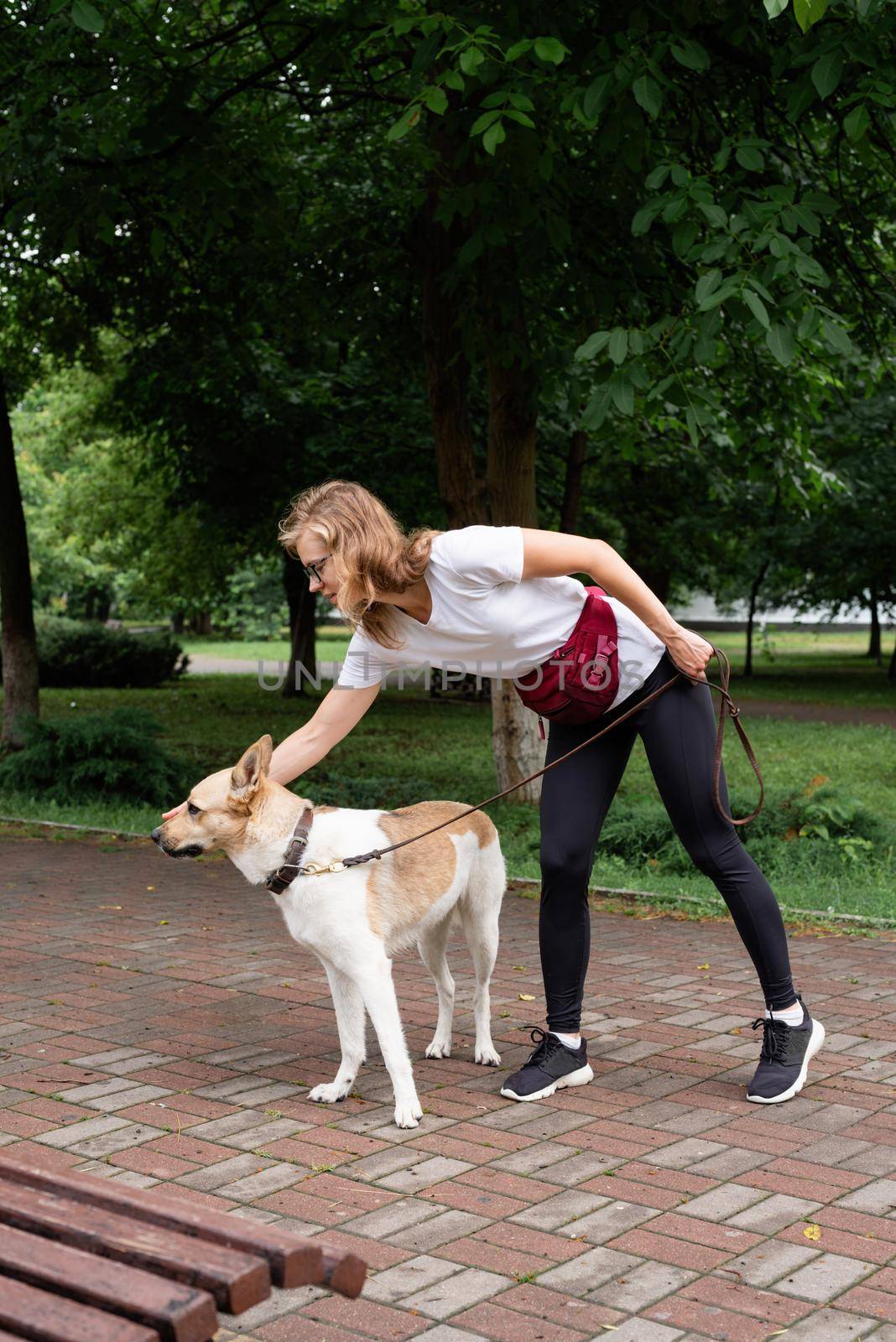 young woman training her dog in a park by Desperada