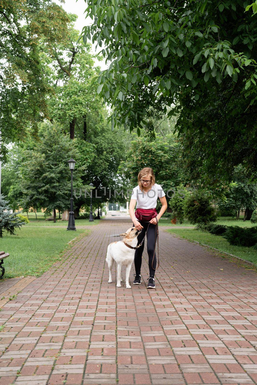 young woman training her dog in a park by Desperada