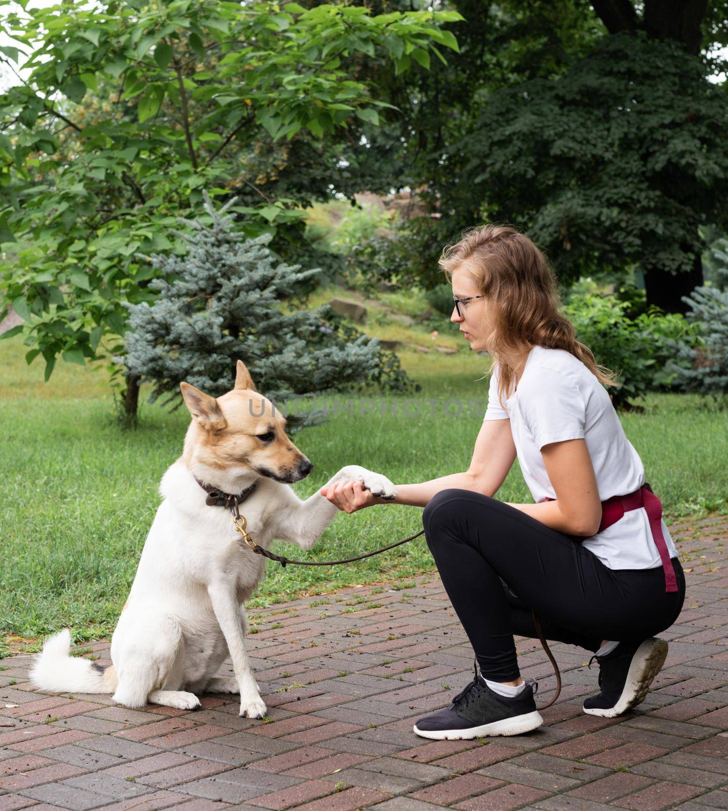 young woman training her dog in a park by Desperada