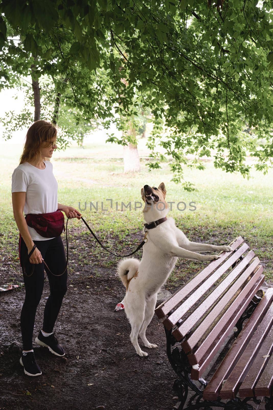 young caucasian woman walking her dog in a summer park. Dog putting paws on the bench