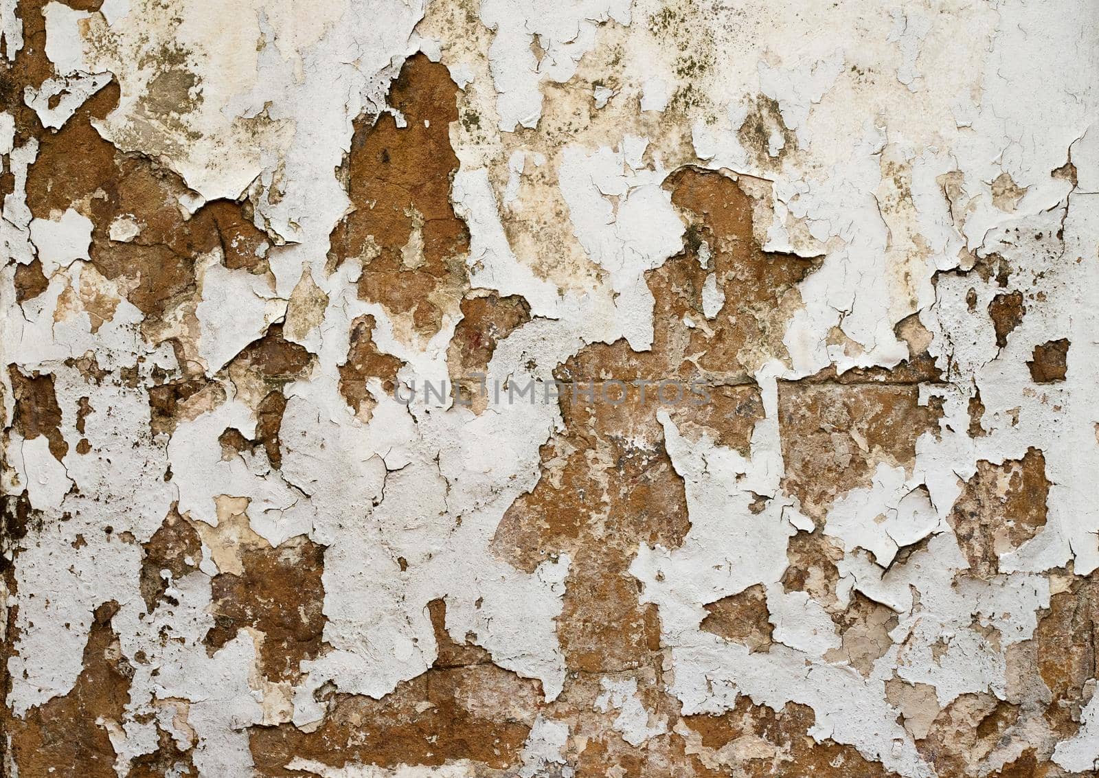 A plaster wall revealed beneath cracked and peeling paint